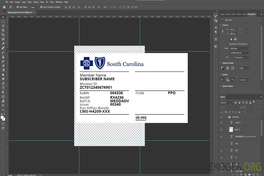 Carte d'assurance maladie de Caroline du Sud aux États-Unis template